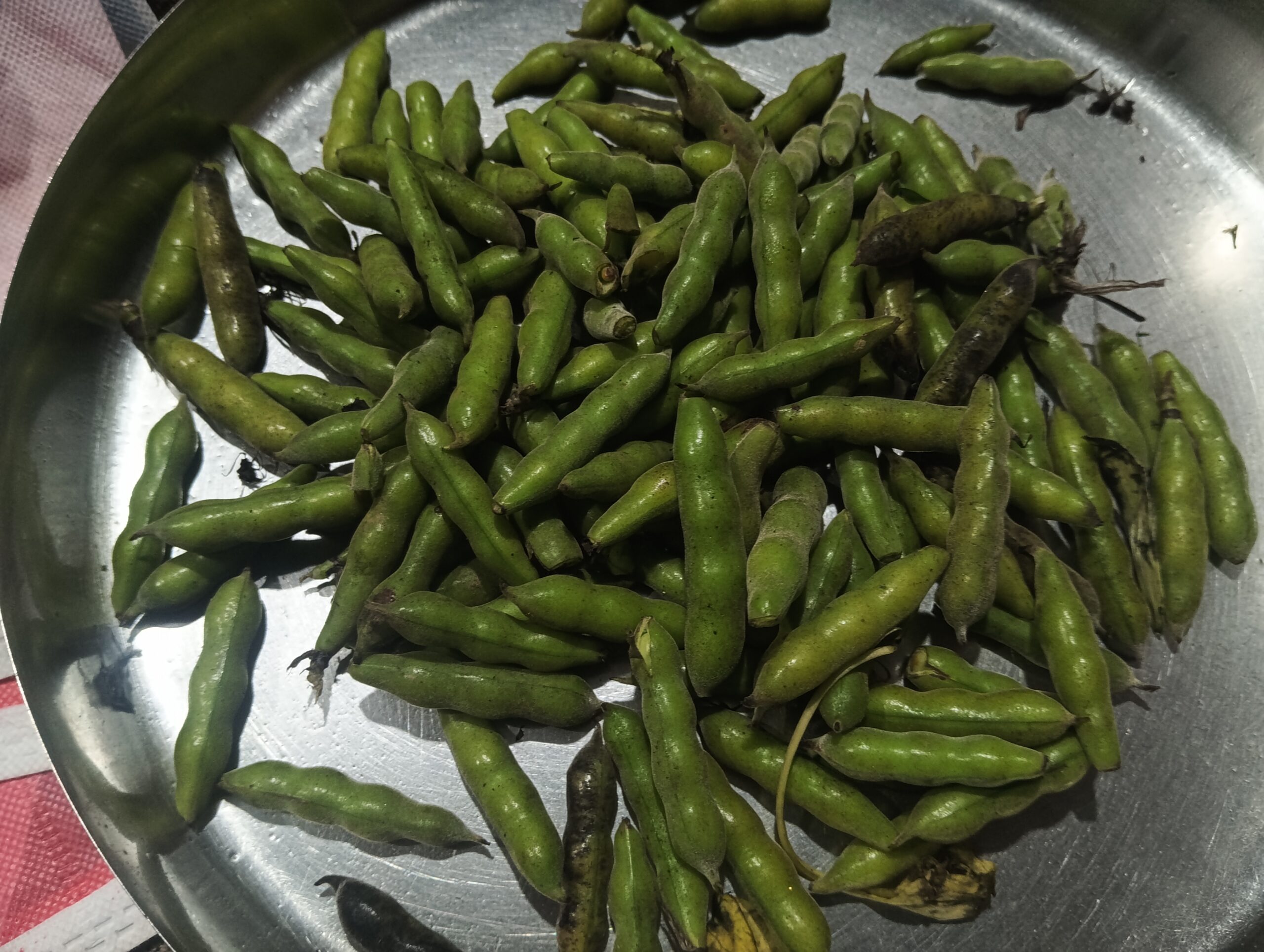 बांकुडा की सब्जी खाने से लाभ इन नामों से भी जाना जाता है यह